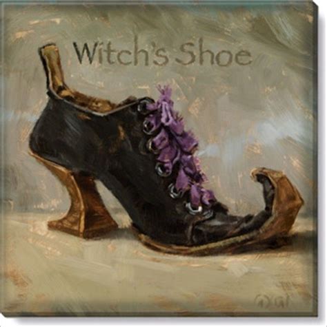 Witch shoe shields